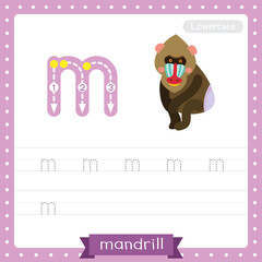 Letter M lowercase tracing practice worksheet of Sitting Mandrill