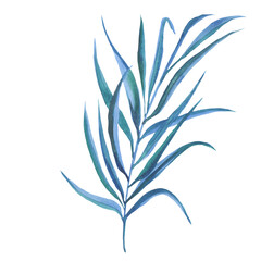 Tropical exotic leaves, realistic jungle leaves set isolated on white background. Palm leaf collection. Quality watercolor imitation. Not trace.