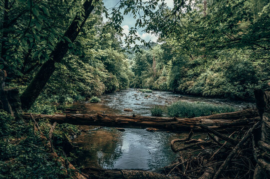 River in the woods - Great Smoky Mountains Bryson City, North Carolina