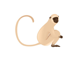 Cute vervet monkey sitting on the ground beige monkey with brown face cartoon animal design flat vector illustration isolated on white background