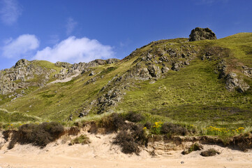 Dunes de sable et herbe verdoyante sur une plage du littoral au nord de l'Irlande. Ciel bleu et nuages blancs contrastant avec les couleurs des falaises.