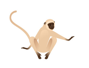 Cute vervet monkey sitting on the ground beige monkey with brown face cartoon animal design flat vector illustration isolated on white background