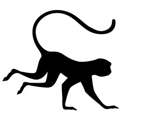 Black silhouette cute vervet monkey cartoon animal design flat vector illustration isolated on white background
