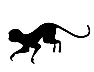 Black silhouette cute vervet monkey cartoon animal design flat vector illustration isolated on white background