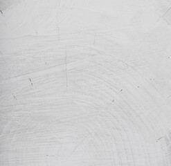 White painted tree stump texture