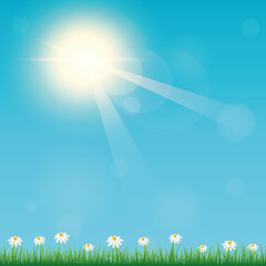summer time sunny sky background with flower meadow vector illustration EPS10