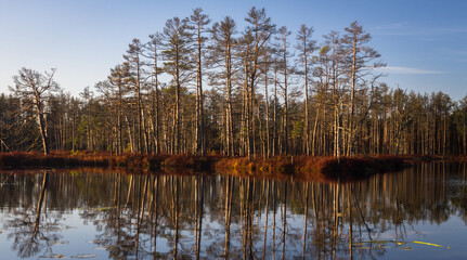 Colorful autumn day  in the Cenas moor