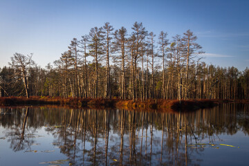 Colorful autumn day  in the Cenas moor