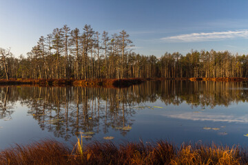 Colorful autumn day  in the Cenas moor