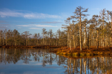 Colorful autumn day  in the Cenas moor