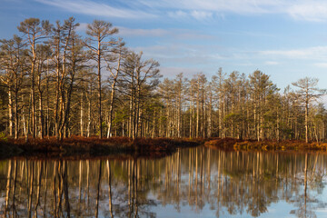 Colorful autumn day  in the Cenas moor