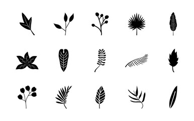 icon set of tropical leaves and palm leaves, silhouette style