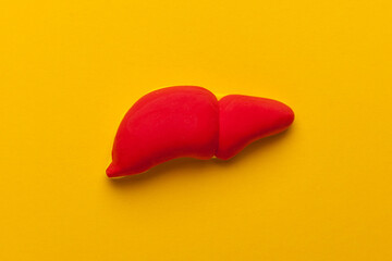 Human liver on yellow background. Disease, diagnosis and care. Treatment of cirrhosis, harm from alcohol.