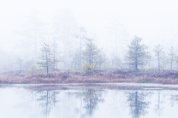 Foggy autumn morning  in a Cenas moor with reflections in a swamp lake