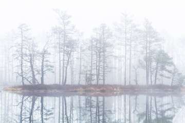 Foggy autumn morning cenas moor with reflections in a swamp lake