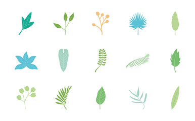 icon set of tropical leaves and palm leaves, flat style