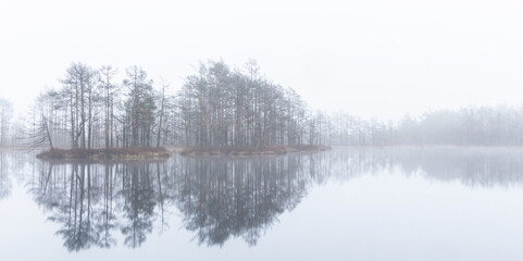 Foggy autumn morning cenas moor with reflections in a swamp lake