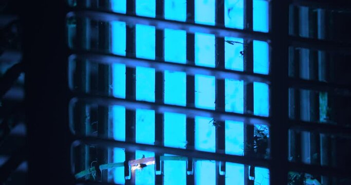 Two Flying Insects Getting Killed In A Bug Zapper