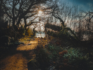 Argal Reservoir, Cornwall, England