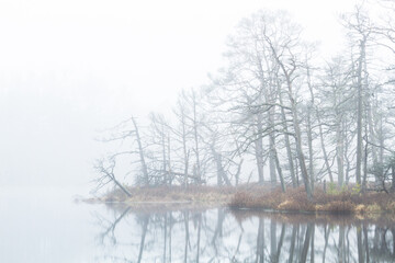 Foggy autumn morning cenas moor with reflections in a swamp lake