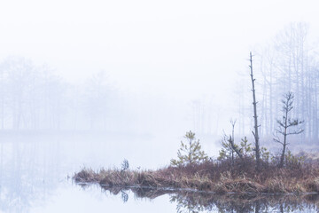 Foggy autumn morning cenas moor with reflections in a swamp lake