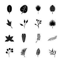 icon set of tropical leaves and monstera leaf, silhouette style