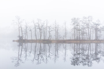 Foggy autumn morning cenas moor with reflections in a swamp lake