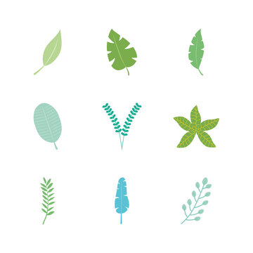 icon set of tropical leaves and exoctic leaves, flat style