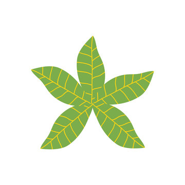 analia tropical leaf icon, flat style