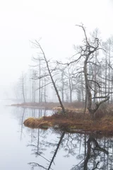 Foto auf Leinwand Foggy autumn morning cenas moor with reflections in a swamp lake © EriksZ