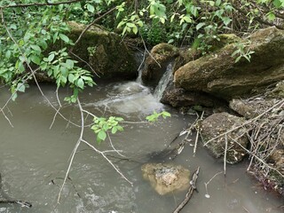 wide stream in the forest. Dry branches, large stones.. Saharna-Moldova.