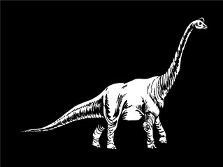 Graphical illustration, vector diplodocus isolated on black background,lizard