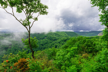 Obraz premium North Carolina Mountains