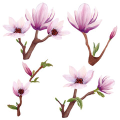 watercolor-magnolia-bouquets