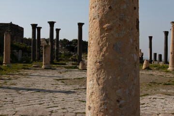 ruins of ancient roman forum, Umm Qais/ Jordan