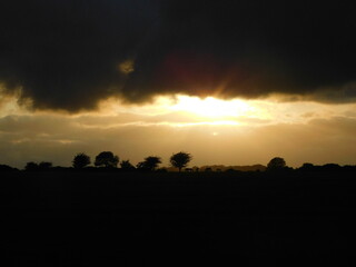 Horses on the horizon at sunset, Dartmoor
