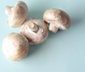 four champignons on a blue background and copy space