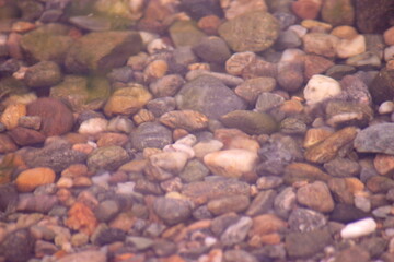 stones in water