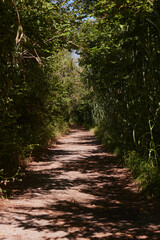 Beautiful walking trails in the S’Albufera Natural Park of Mallorca Spain