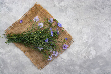 Bouquet of flax on linen cloth. View from above.