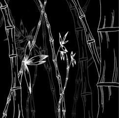 stems of bamboo in several layers on a black background
