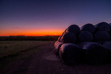 Plastic wrapped hay bales in a field at sunset