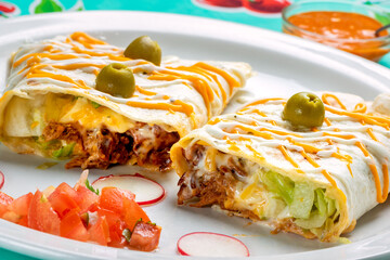 Mexican big chicken burrito.