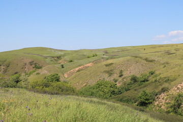 Ravine in the steppe