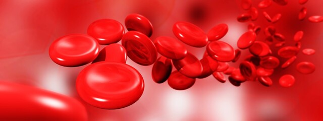 erythrocytes, red blood cells