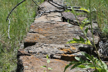 Stone path
