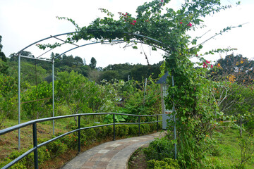 Regina Rica Rosarii path way in Tanay, Rizal, Philippines