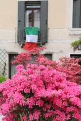 kwiaty flaga włochy budynek włoskie natura krzak okno okiennica