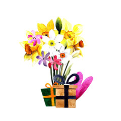 Bouquet of daffodils with gift and heart watercolor illustration on white background