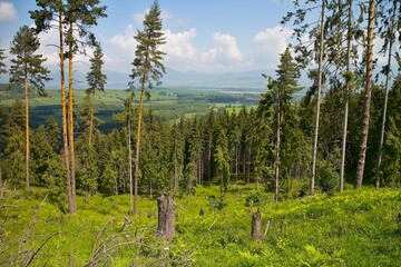 Scenery looking at the Liptov basin from Demanovska mountain. © Stanislav